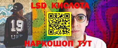 PSILOCYBIN Гусь-Хрустальный