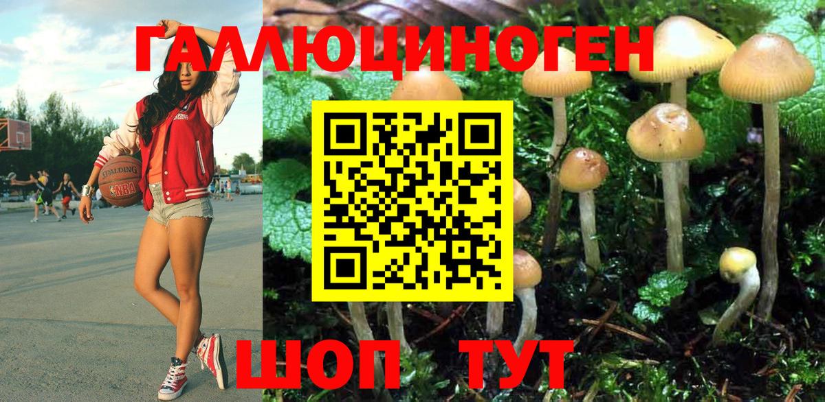 Псилоцибиновые грибы прущие грибы Валуйки